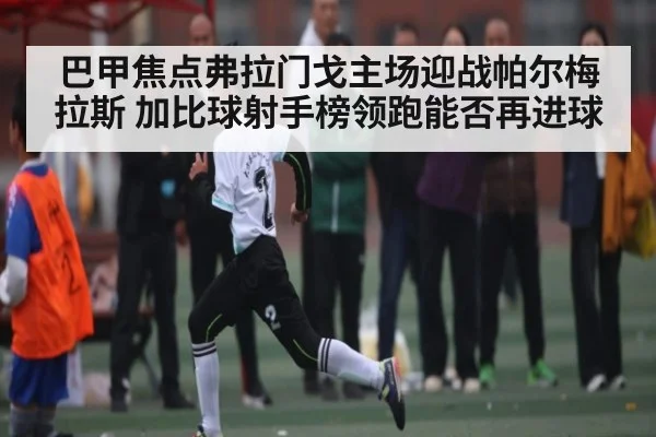 巴甲焦点弗拉门戈主场迎战帕尔梅拉斯 加比球射手榜领跑能否再进球 | kaiyun